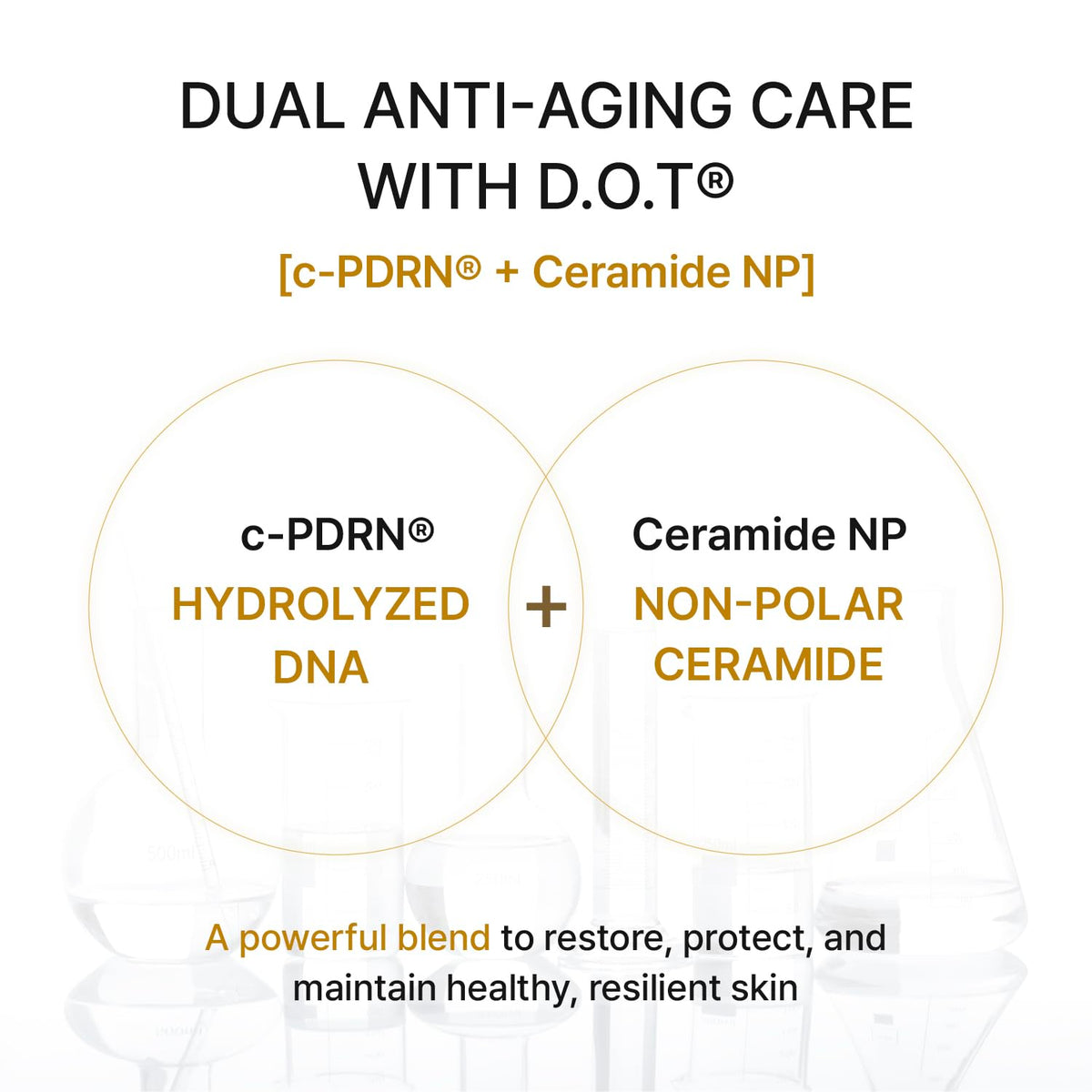REJURAN ampoule ingredients label close view emphasizing DOT c-PDRN and ceramide benefits