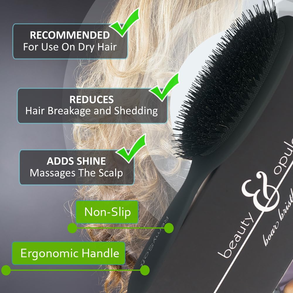 RemySoft close-up of boar and nylon bristles showing dual-bristle benefit for shine and slip