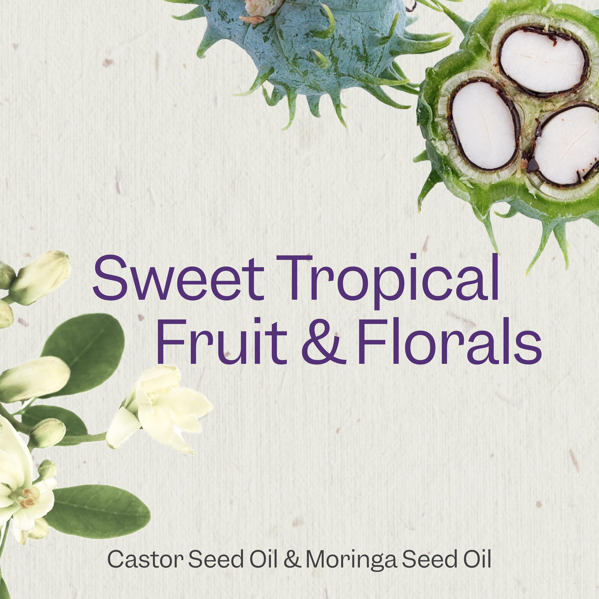 RENPURE close-up ingredient label highlighting castor and moringa oils