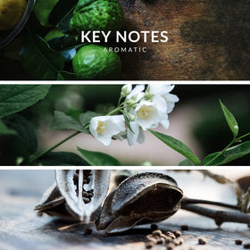 Reyane Tradition Insurrection Pure notes pyramid displaying fragrance layers for informed choice