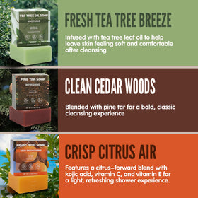 Rinse & Robust scent labels array showing cedar sandalwood tea tree benefit