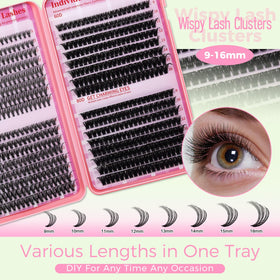 RITALASH open tray with 640 cluster lashes for easy selection
