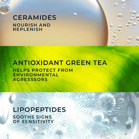 RoC green tea ingredient close-up highlighting antioxidant protection benefits