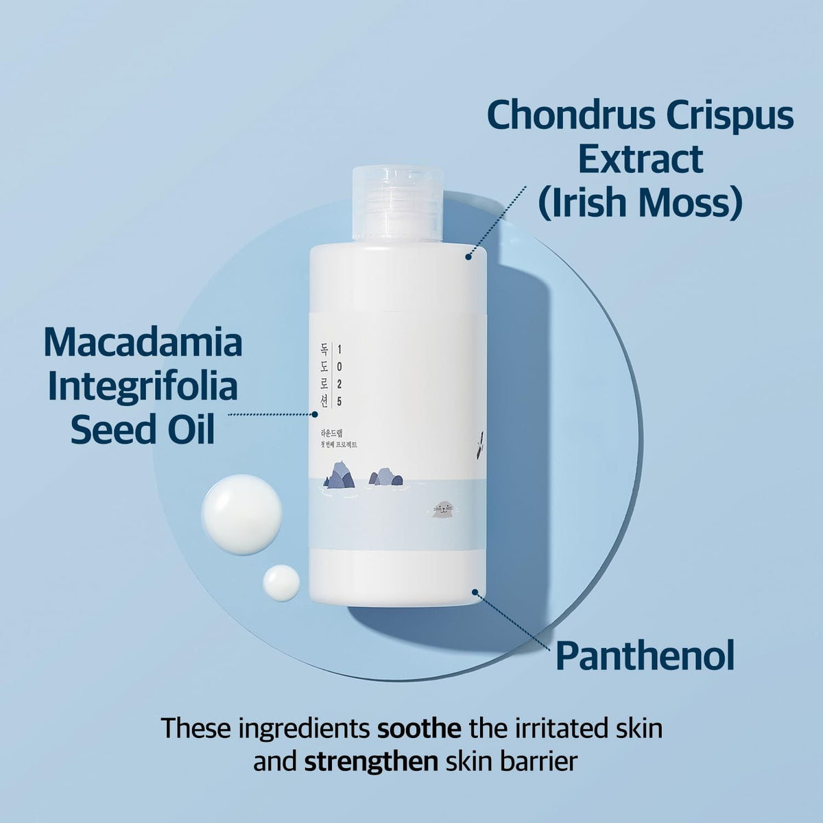 ROUND LAB 1025 Dokdo Lotion in routine lifestyle image showing fast layering benefit