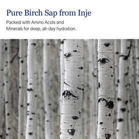 ROUND LAB ingredients label indicating birch juice and hyaluronic benefits