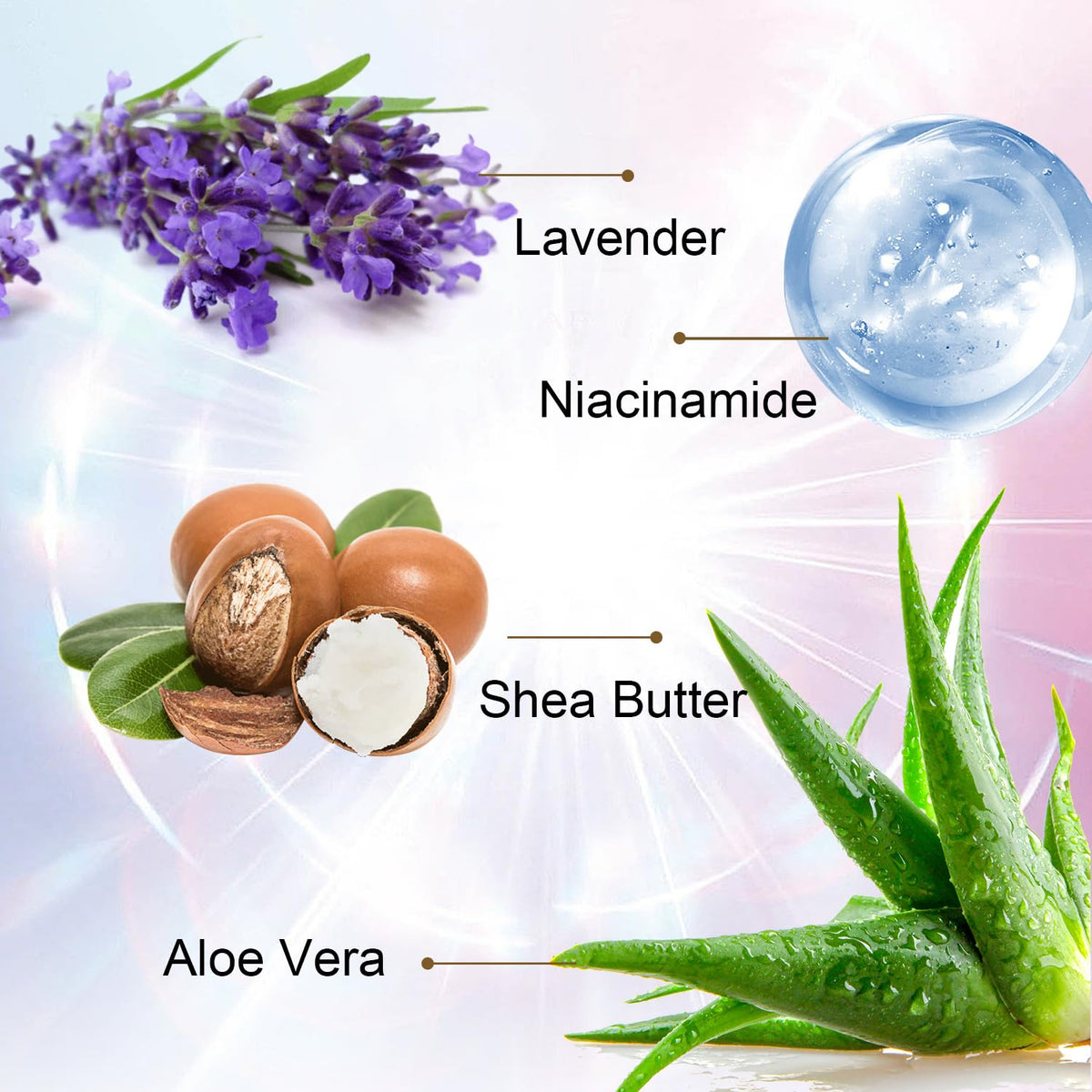 ROUSE ingredients display with aloe shea butter lactic acid highlighted