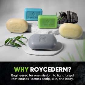 Roycederm bar cutaway exposing volcanic ash and charcoal particles for deep cleaning