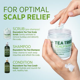 Roycederm surrounded by tea tree and rosemary botanicals demonstrating natural actives