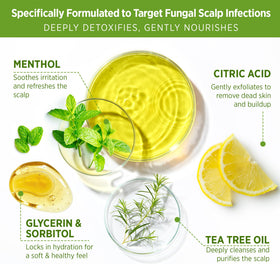 Roycederm scoop application onto fingers for precise pre-shampoo treatment