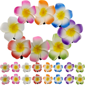 ROYHOO front view of 40-piece frangipani clips showing color variety and value