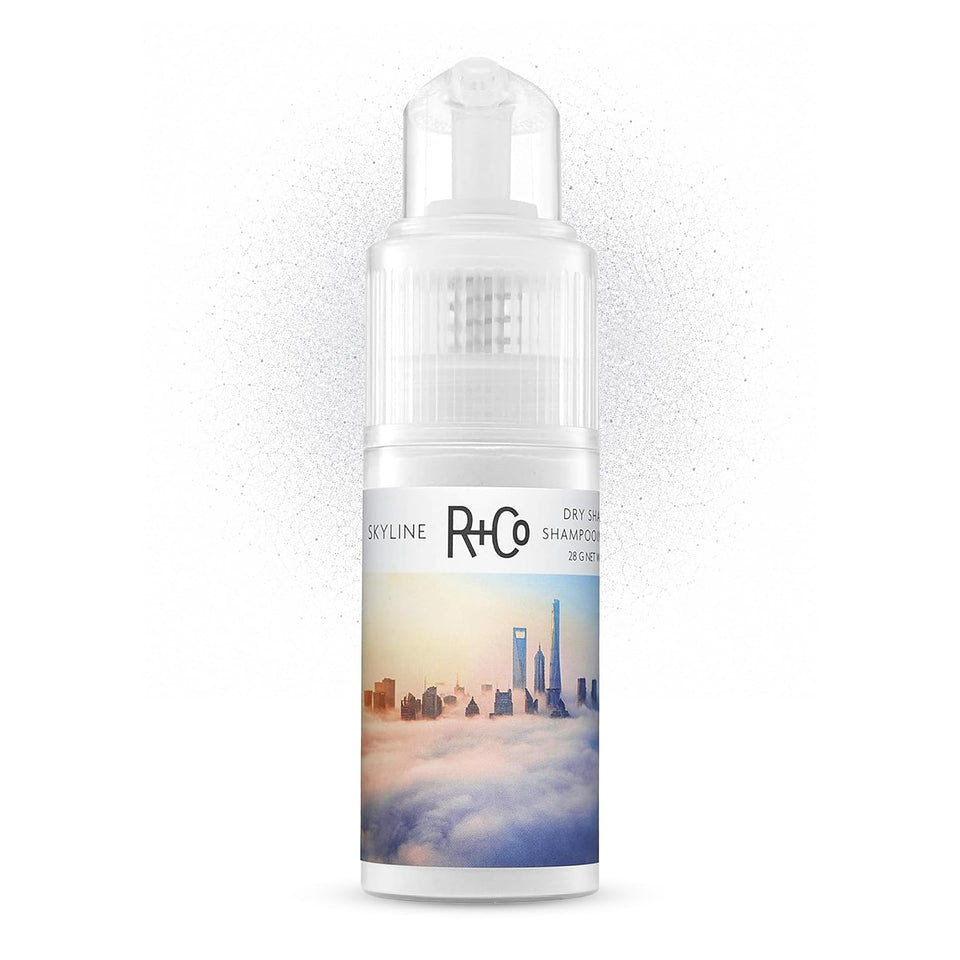 R+Co Skyline front packaging showing compact travel-ready bottle and branding