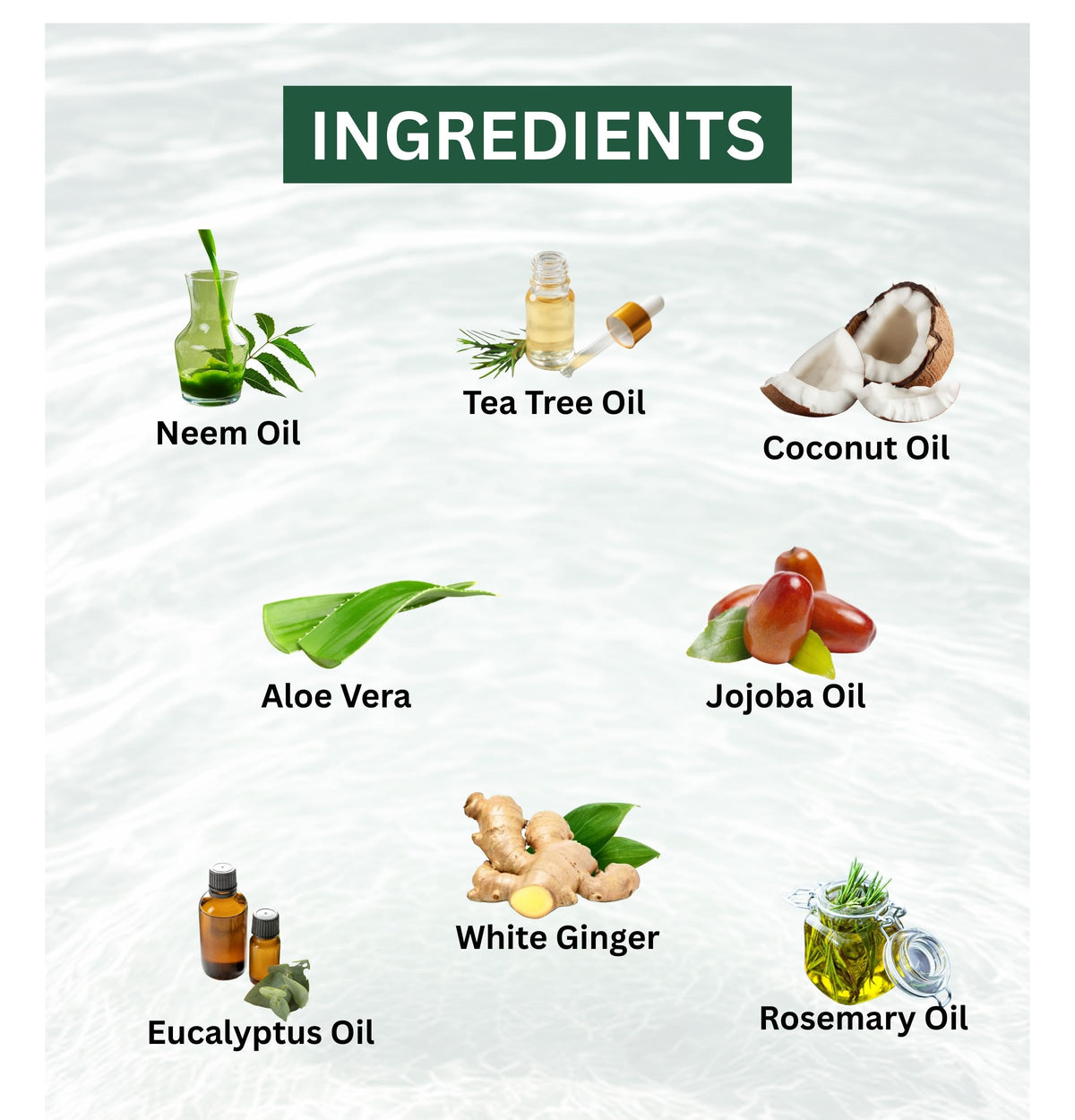 RX Body Care ingredients display with tea tree, peppermint and aloe for freshness