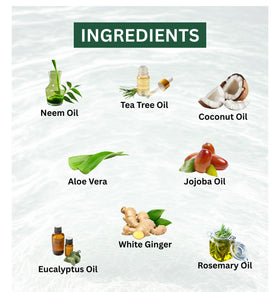 RX Body Care ingredients display with tea tree, peppermint and aloe for freshness