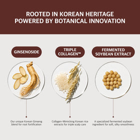 RYO close-up Korean ginseng extract showcasing botanical strength