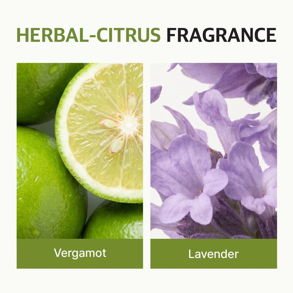ryo herbs and ginseng display showing natural extracts and scalp nourishment