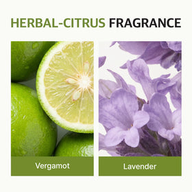 ryo herbs and ginseng display showing natural extracts and scalp nourishment