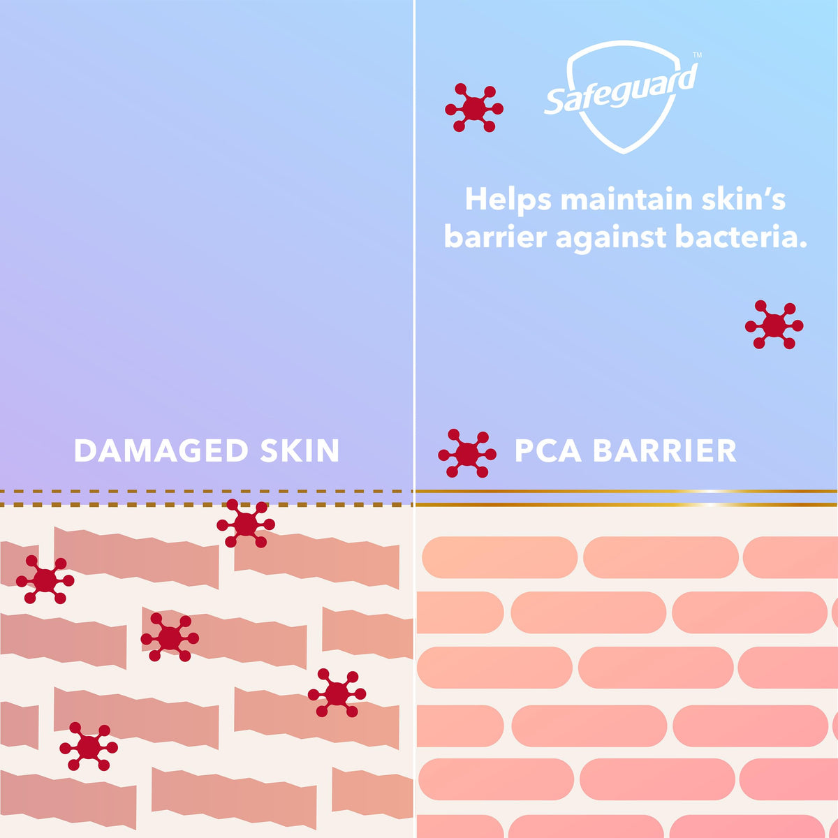 Safeguard bottle label and ingredient panel showing natural moisturizers benefit