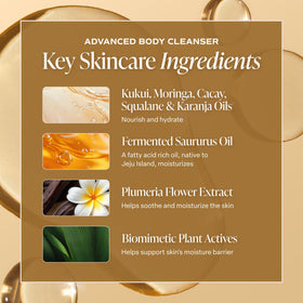 Saltair body oil scent notes display with pineapple coconut sunflower, uplifting fragrance benefit