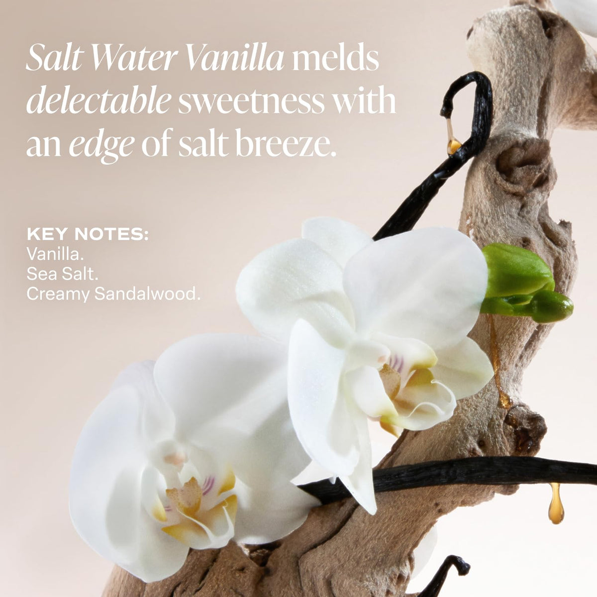 Saltair algae and cupuaçu butter ingredients visual showing nourishing benefit