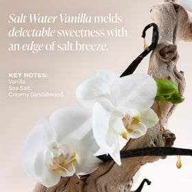 Saltair algae and cupuaçu butter ingredients visual showing nourishing benefit
