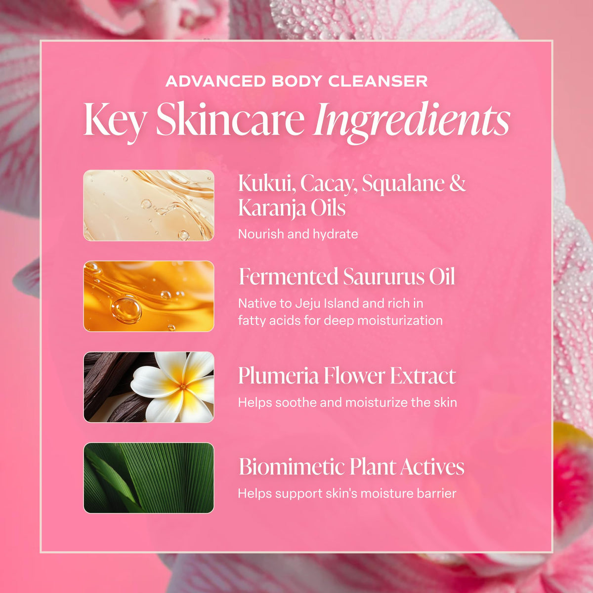Saltair Pink Beach scent notes visual evoking tropical, comforting fragrance