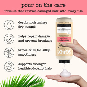 SAUCE BEAUTY close-up label highlighting ingredient claims like paraben and sulfate-free
