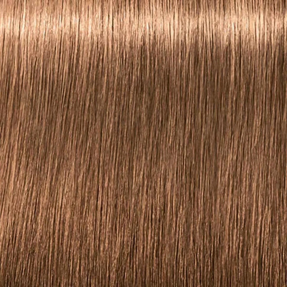 Schwarzkopf Professional IGORA ROYAL 8-46 colour swatch on hair showing beige-chocolate tone accuracy