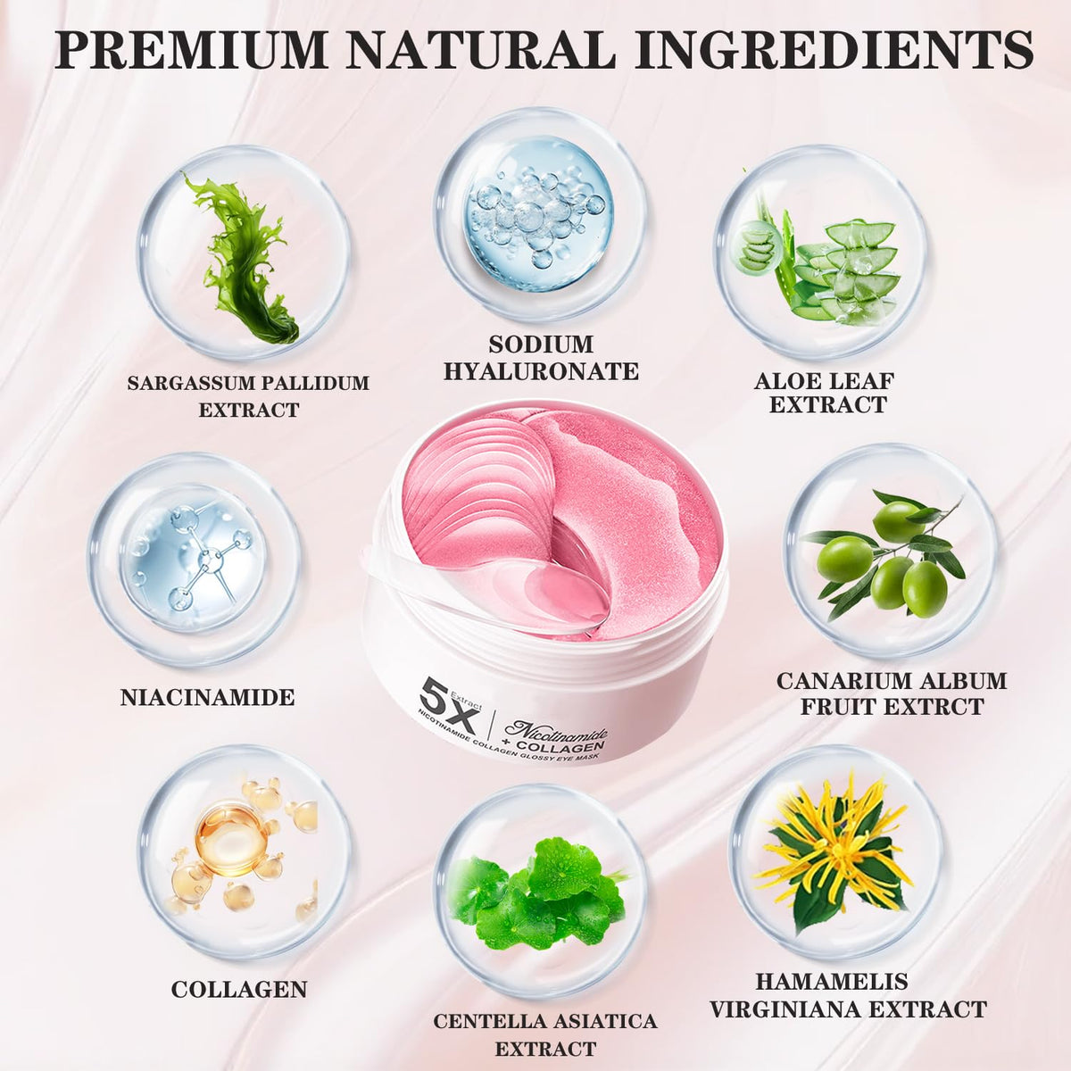 SEACICO ingredients display with aloe centella seaweed highlighting soothing benefits