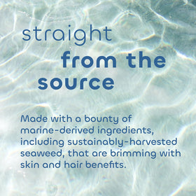 Texture of French sea clay powder, shows purifying mineral content