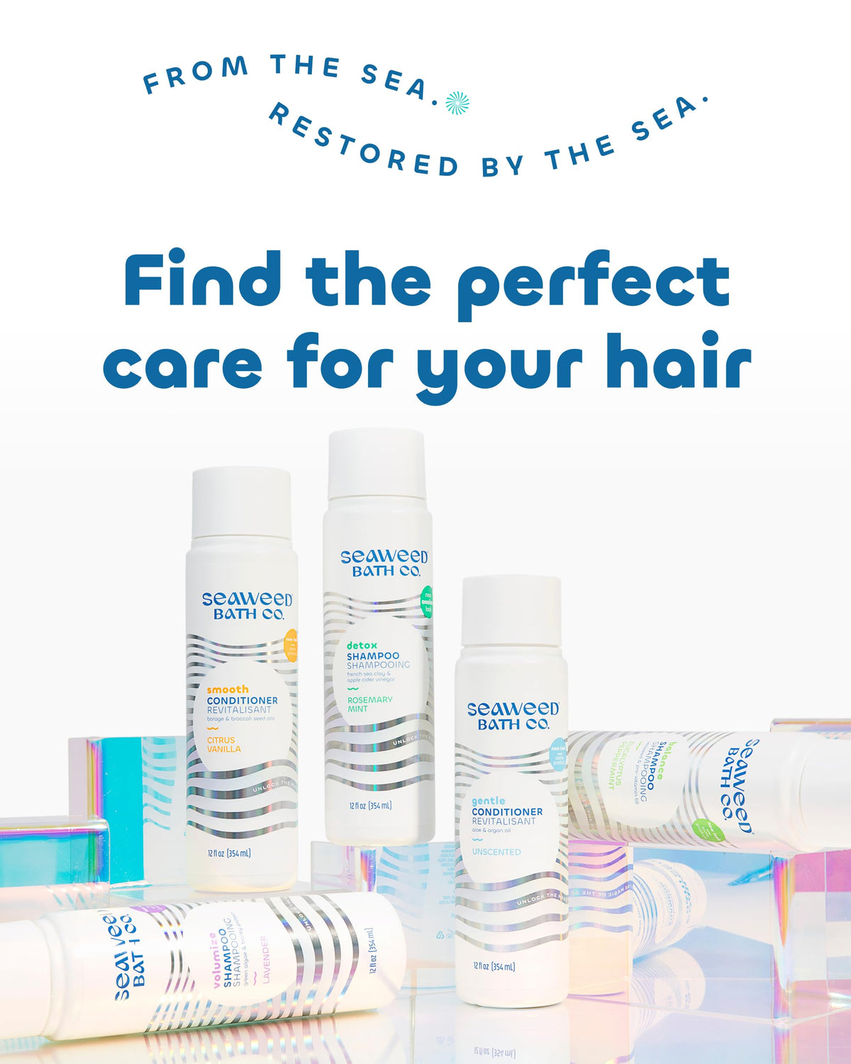 Seaweed Bath Co. shampoo paired with conditioner illustrating complete routine