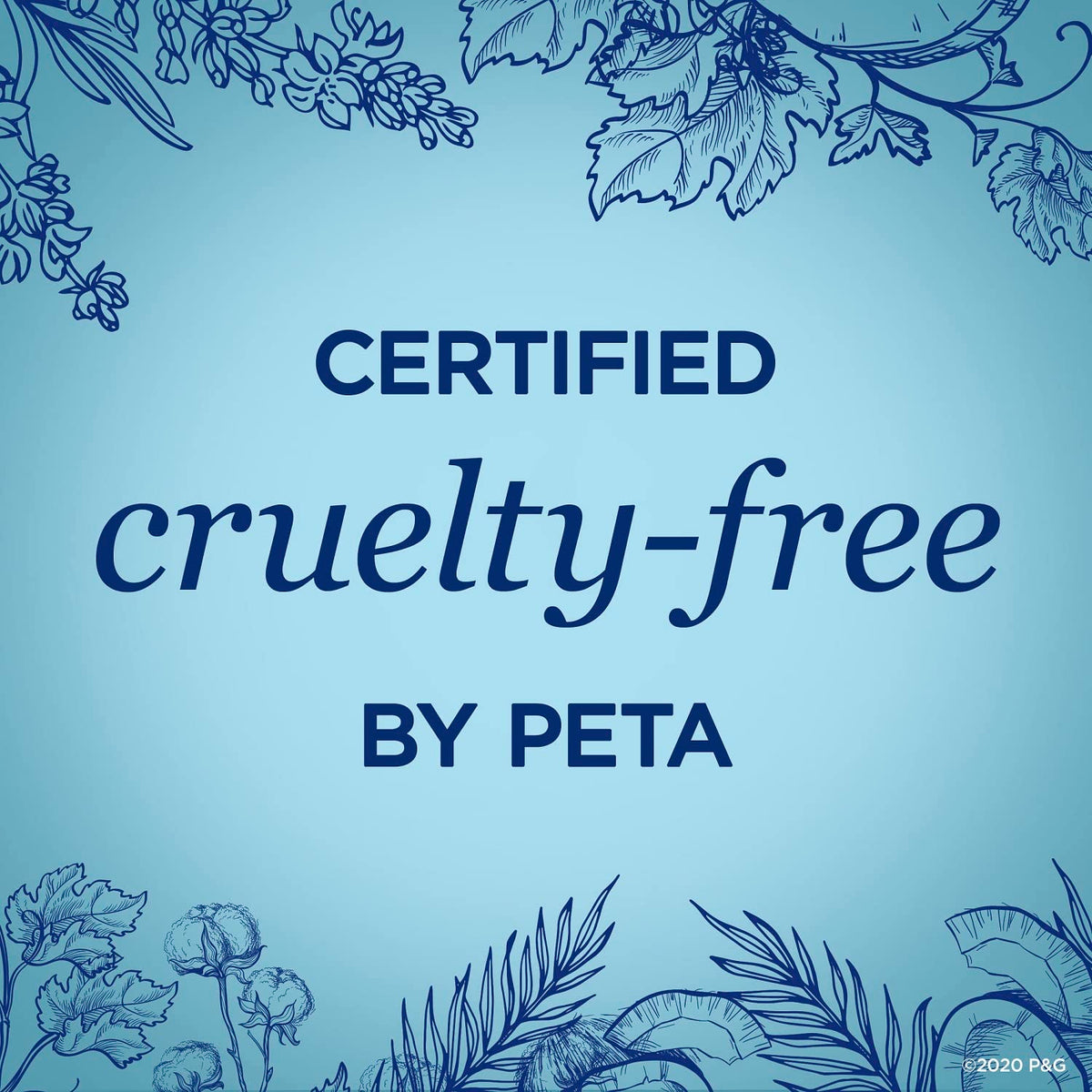 Secret coconut ingredient label closeup highlighting aluminum-free formulation