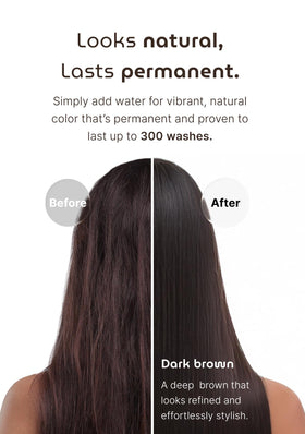 SEEDBEE before and after root touch-up image showing gray coverage benefit natural finish