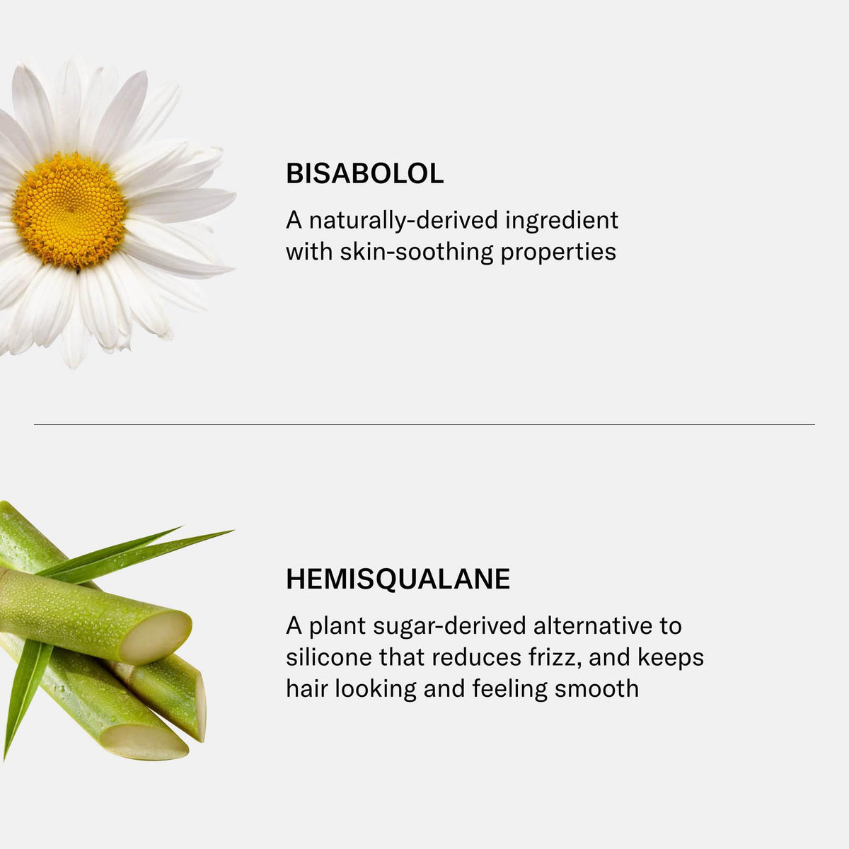 SEEN conditioner next to common items showing product size and travel-friendly benefit