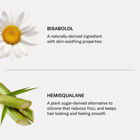 SEEN conditioner next to common items showing product size and travel-friendly benefit