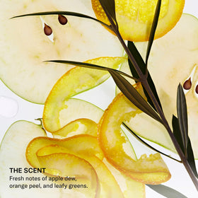 SEEN products beside botanical ingredients reflecting plant-derived, soothing formula