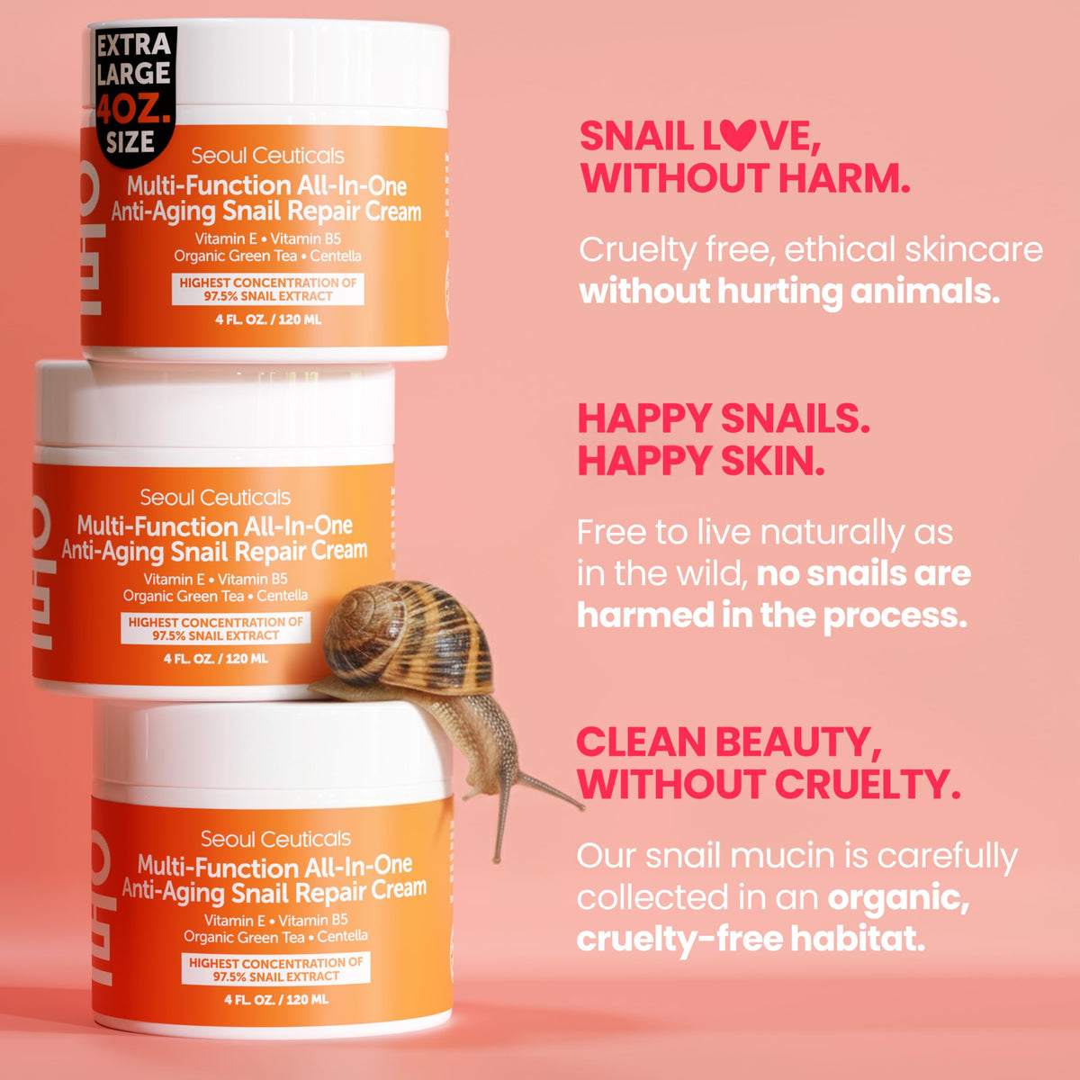 SeoulCeuticals jar beside organic aloe and jojoba indicating soothing botanicals