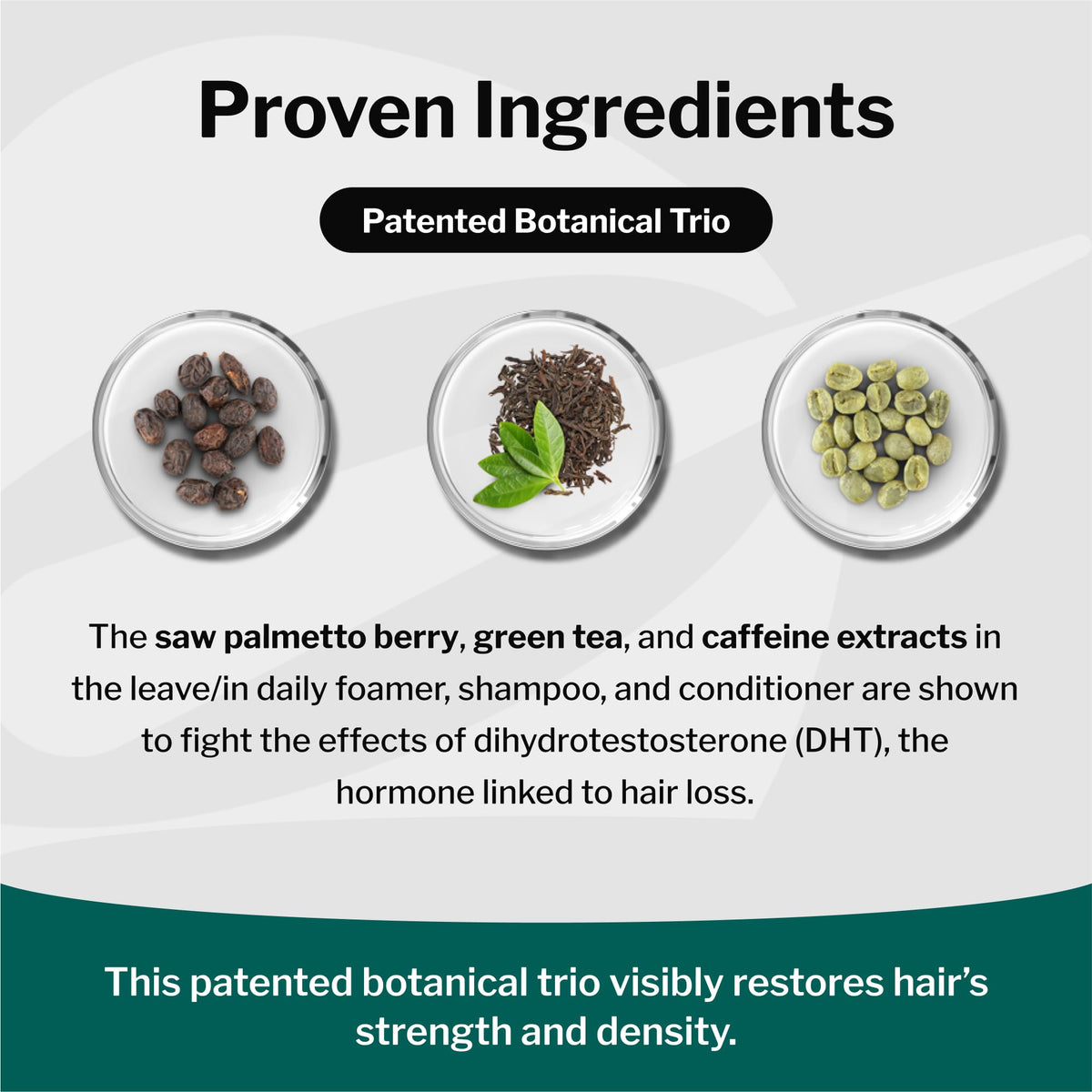 Shapiro MD shampoo lather texture demonstrating gentle, effective cleansing