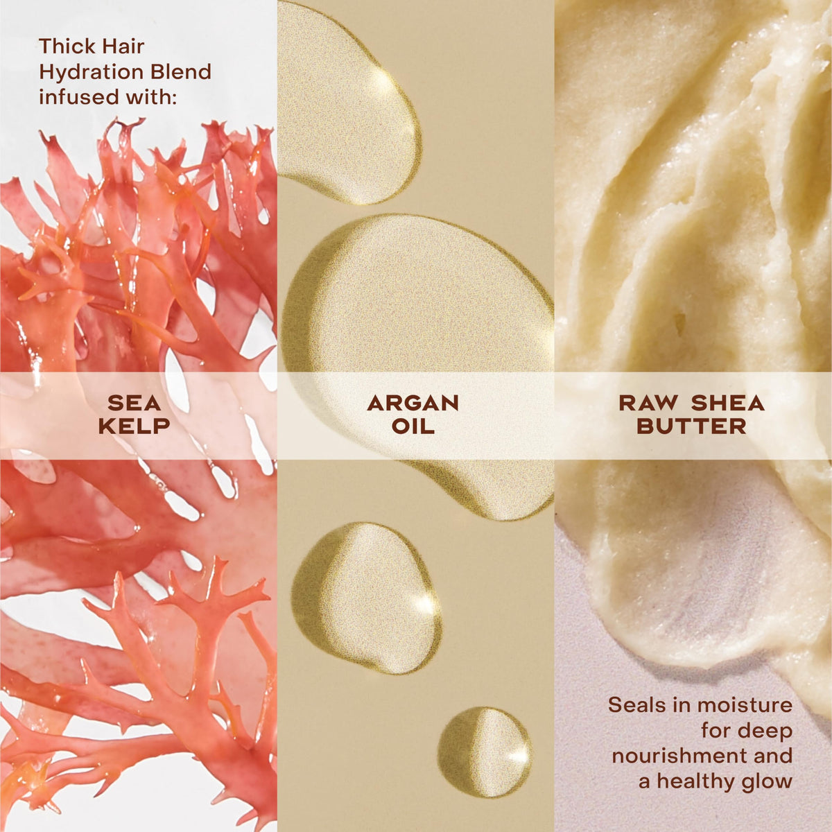 Shea Moisture conditioner being applied to wet curls for deep hydration