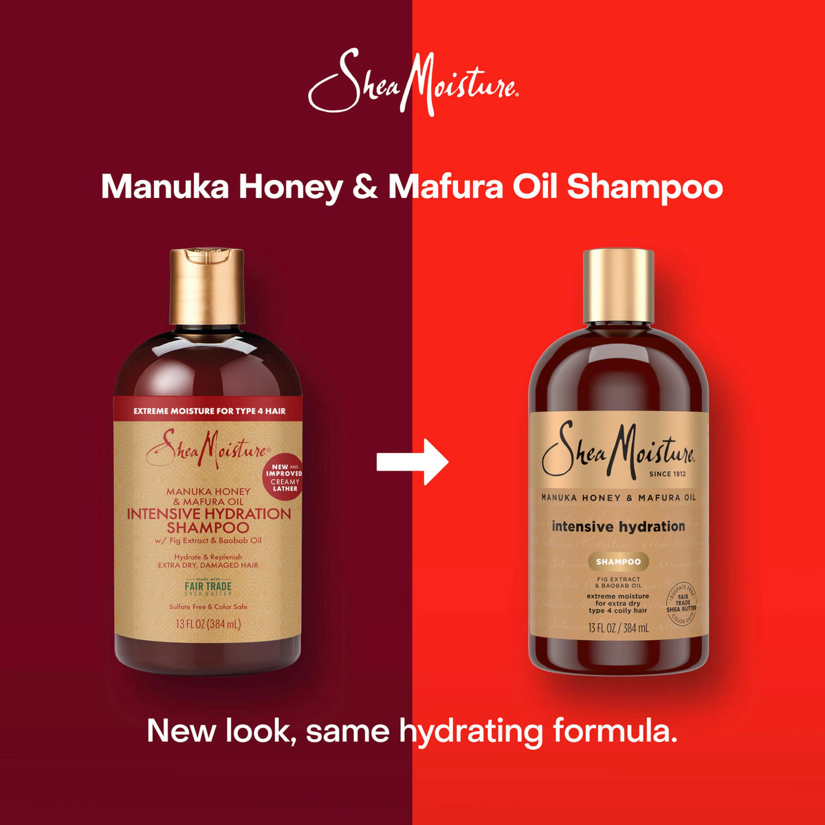 Creamy lather of Shea Moisture shampoo demonstrating gentle, rich foam
