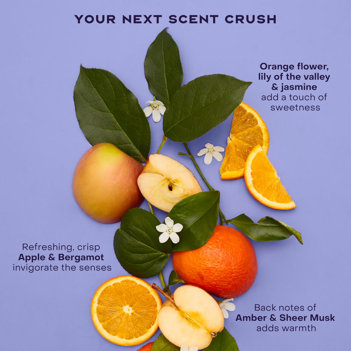SheaMoisture applying a few drops to scalp to soothe and hydrate problem areas