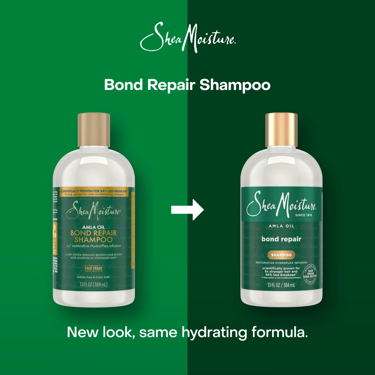 SheaMoisture close-up of amla oil ingredient highlighting nourishing benefits