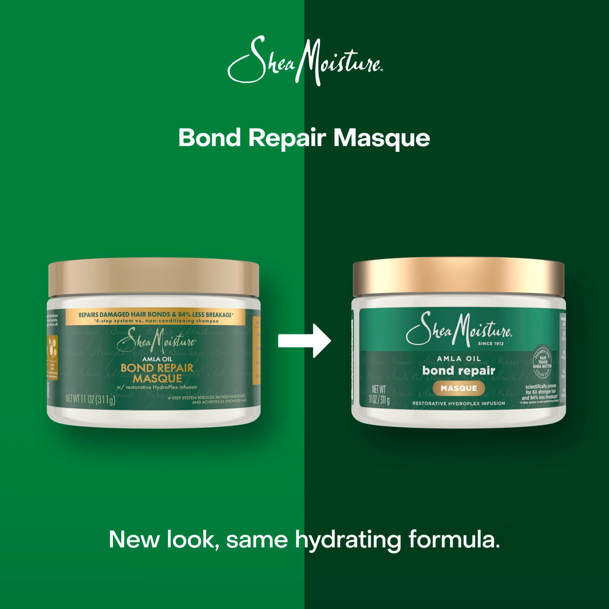 SheaMoisture amla oil droplet with ingredient focus for strengthening