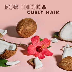 SheaMoisture natural ingredients display with neem and coconut signaling nourishing benefits