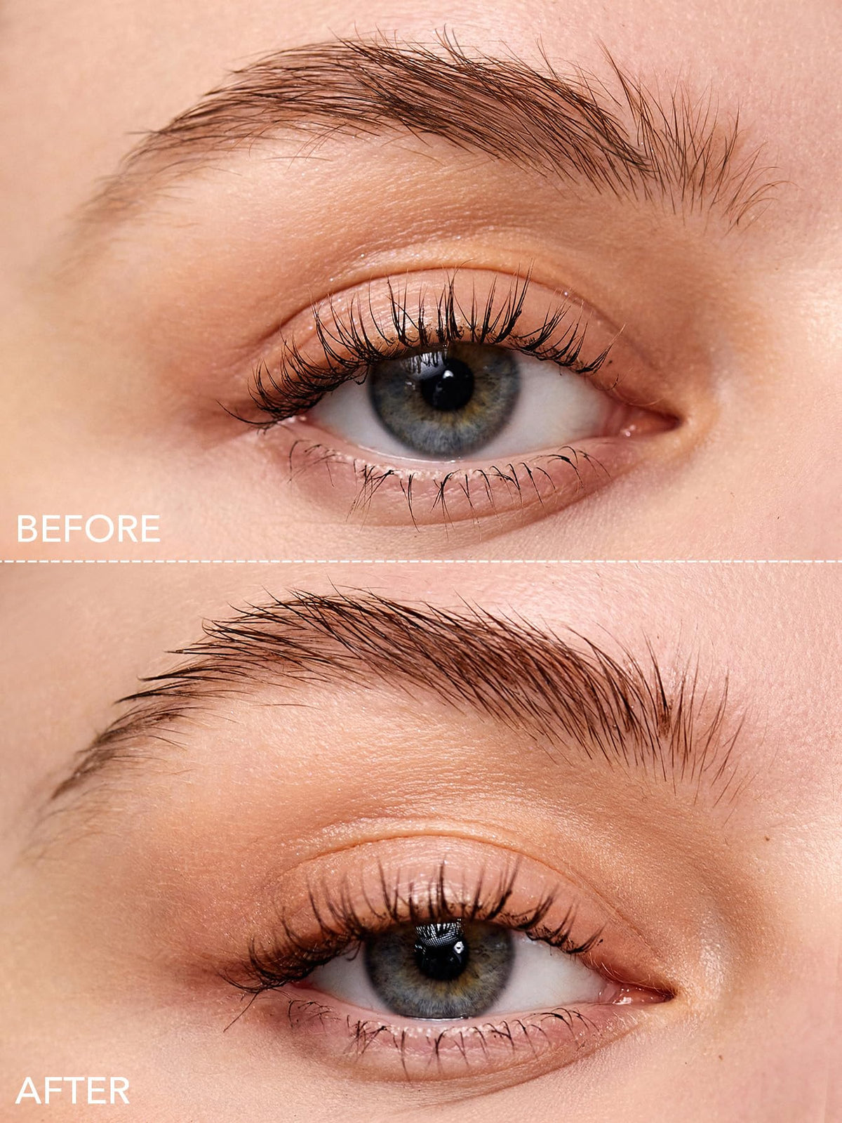 SHEGLAM on groomed-flat brows showing sleek, tamed hairs and lasting shape