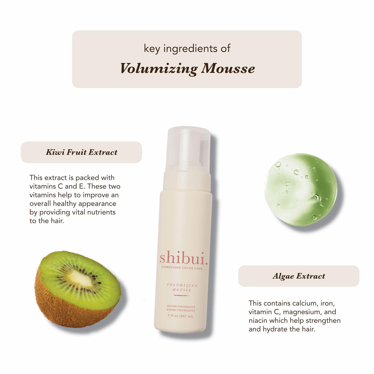 SHIBUI applying mousse at roots to show lift creation and styling control