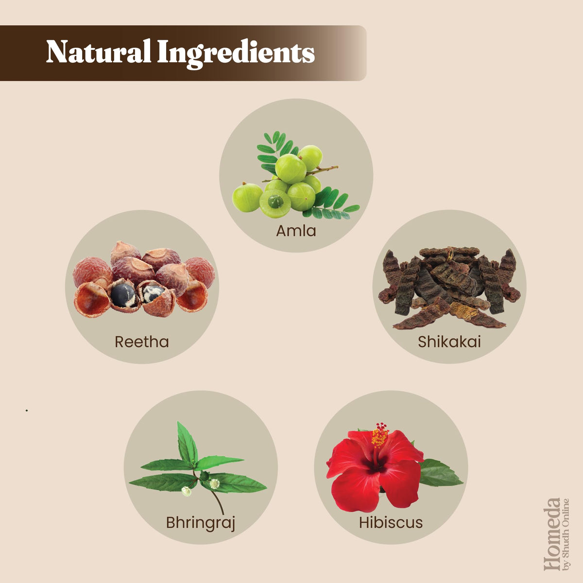 Shudh Online hibiscus powder with flower detail conveying moisture and floral nutrients