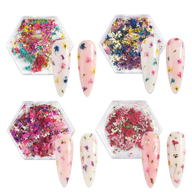 SILPECWEE opened storage box displaying assorted petals for organized use