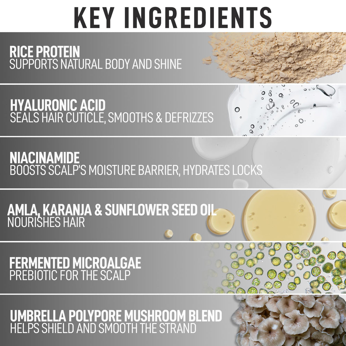 Silverist label close-up listing ingredients, conveying transparent formulation benefits