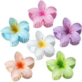 Sisiaipu front view of six colorful flower clips, bright versatile styling