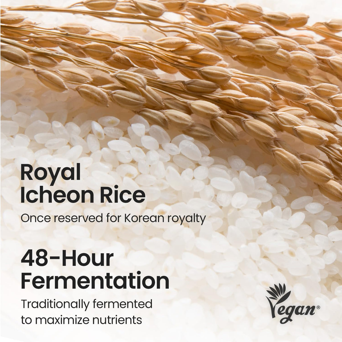 SKINFOOD 1957 ingredient label highlighting Icheon rice and fermented water